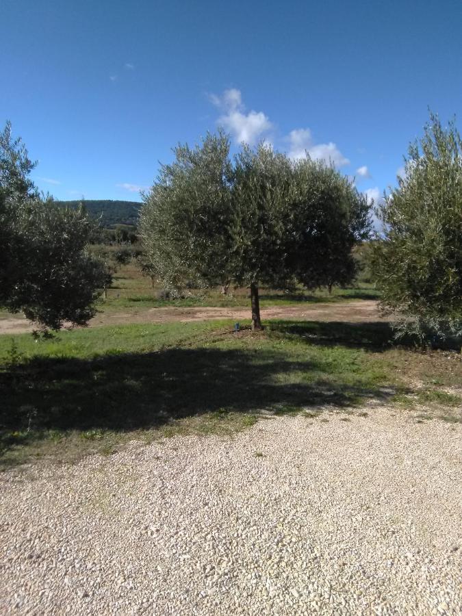 Vacances Vaison La Romaine ภายนอก รูปภาพ